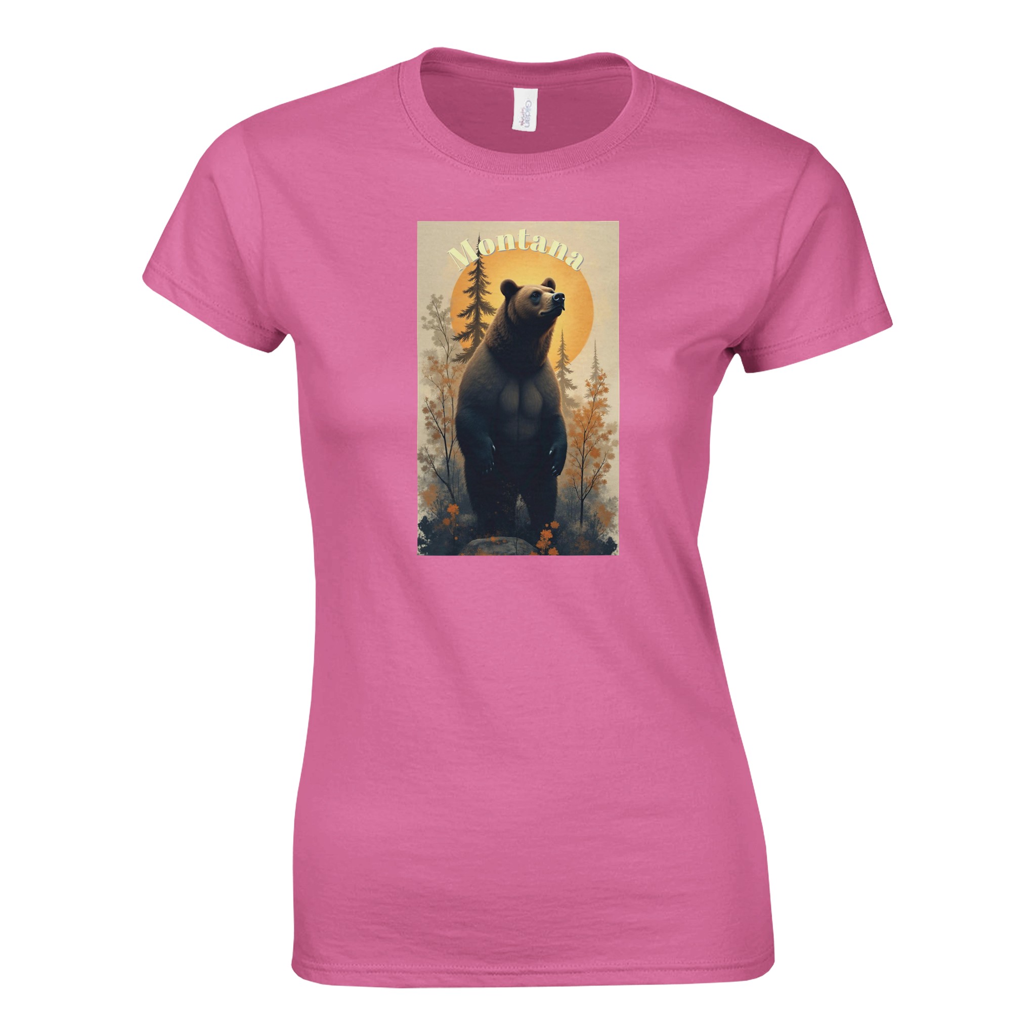 02172ba3-3b69-42b2-815a-9eb3c65ee313